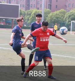 案例RB88
